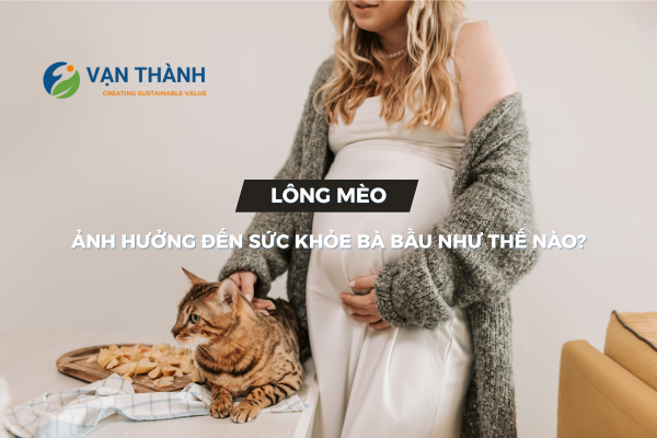 Lông mèo ảnh hưởng đến sức khỏe bà bầu như thế nào? Giải pháp bảo vệ thai kỳ an toàn