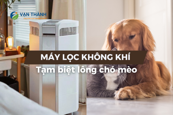 Tạm biệt lông chó mèo với máy lọc không khí